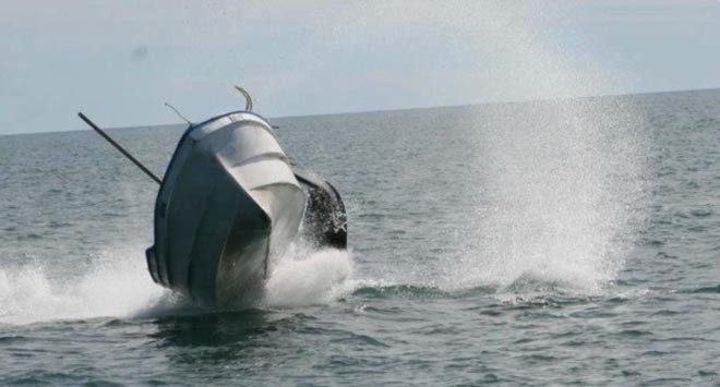 Whale strike - boat is beginning to recover as whale moves away ©  SW